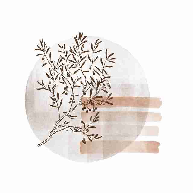 鉴黄师电脑版#局势动态#探秘#高质#全新视角，鉴黄师的工作有多可怕